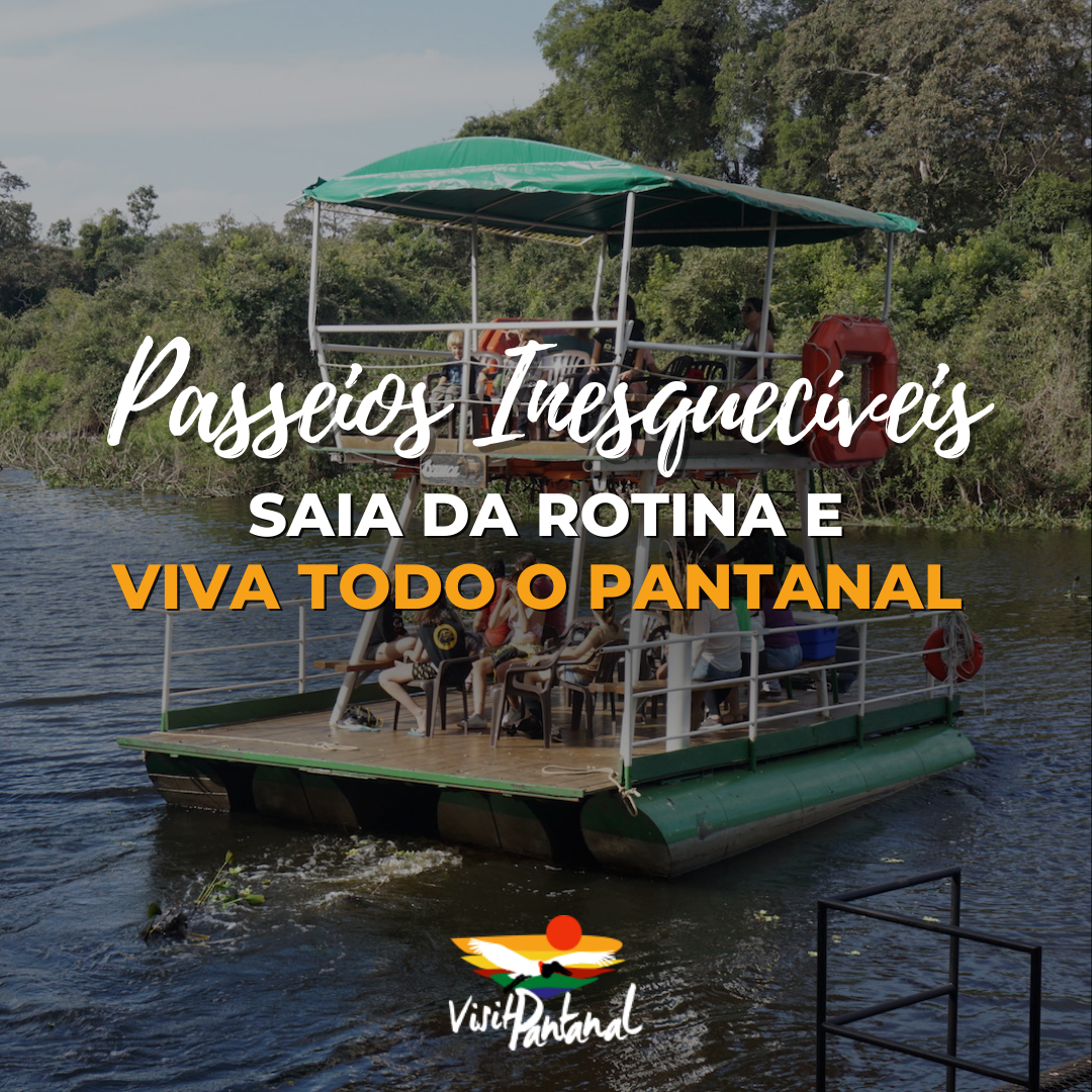 Passeios no Pantanal: 8 Lugares Que Vale a Pena Incluir no Roteiro